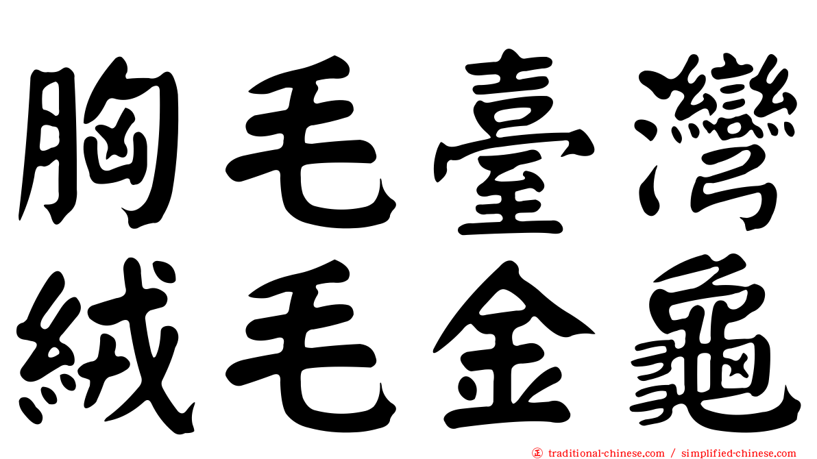 胸毛臺灣絨毛金龜