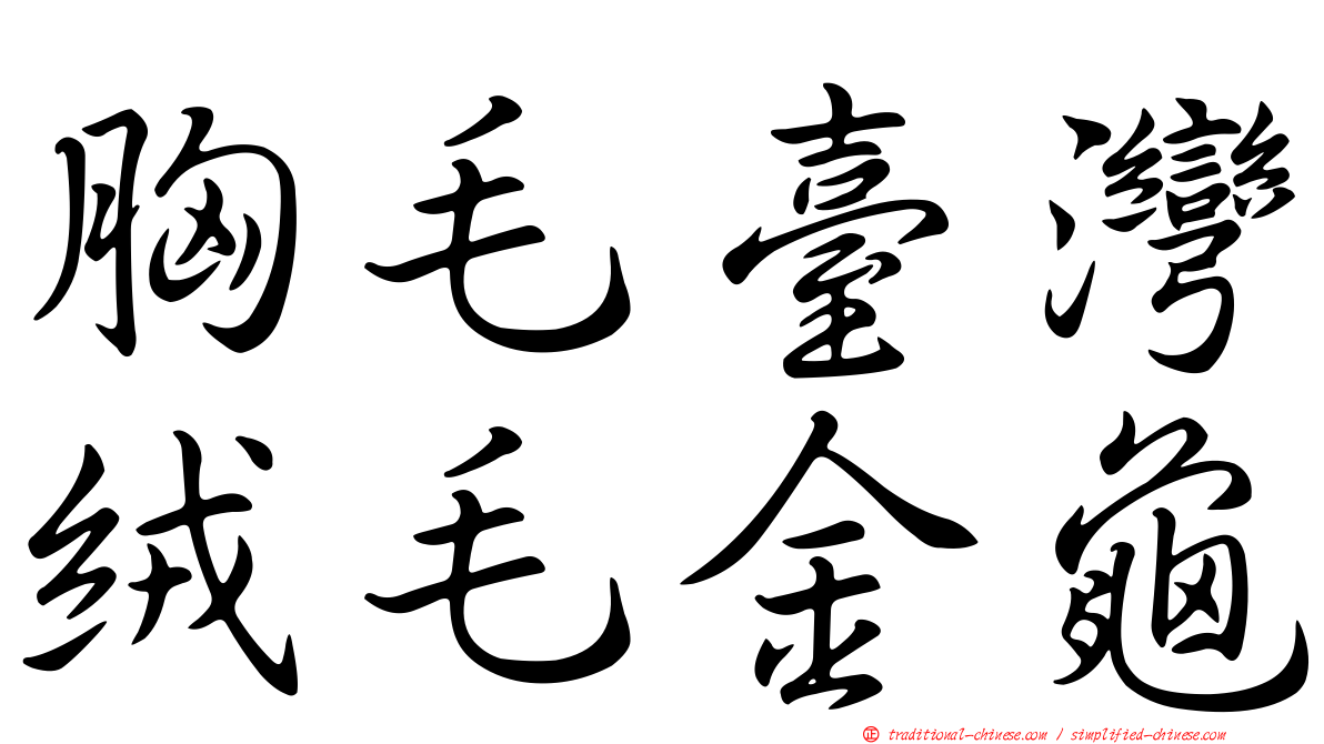 胸毛臺灣絨毛金龜