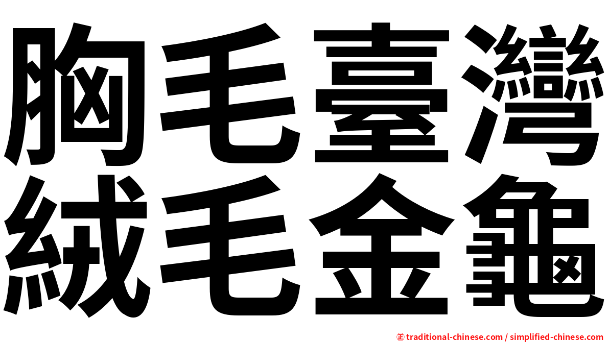 胸毛臺灣絨毛金龜