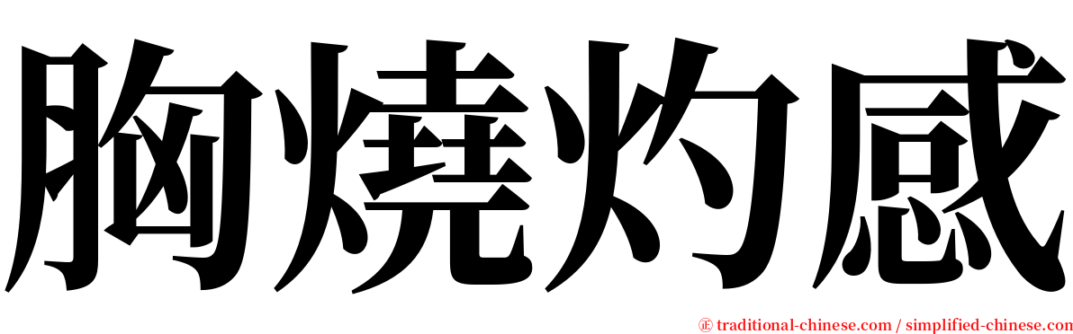 胸燒灼感 serif font