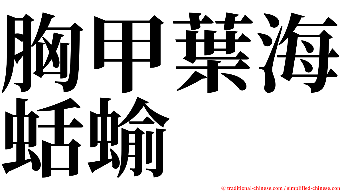 胸甲葉海蛞蝓 serif font