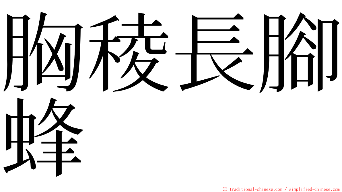 胸稜長腳蜂 ming font