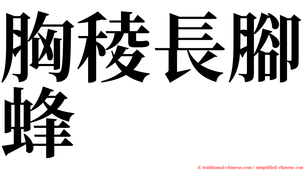 胸稜長腳蜂 serif font