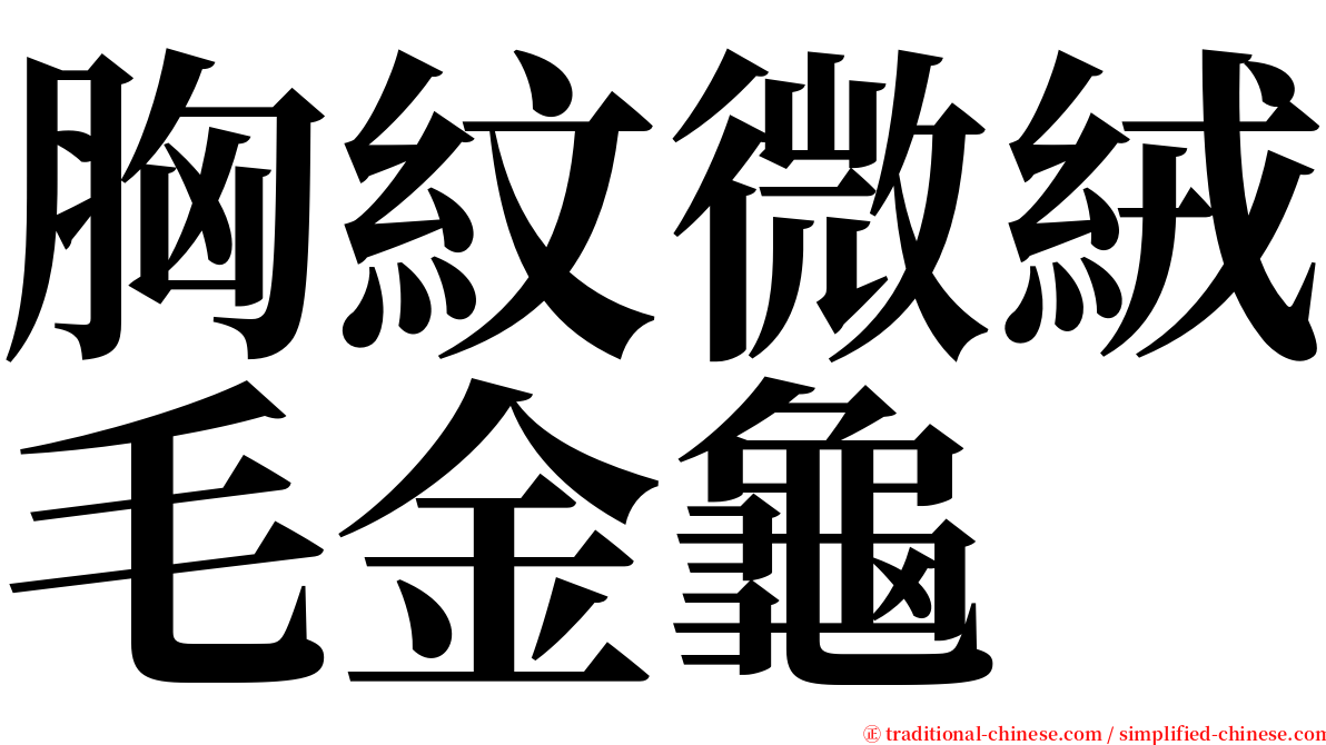 胸紋微絨毛金龜 serif font