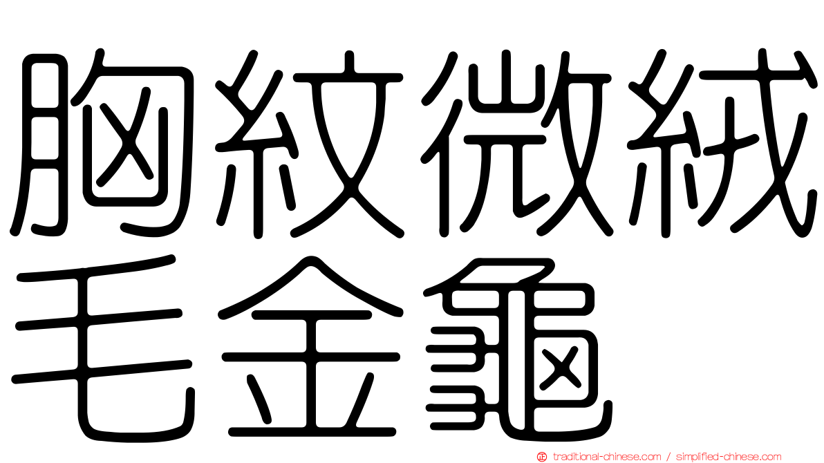 胸紋微絨毛金龜