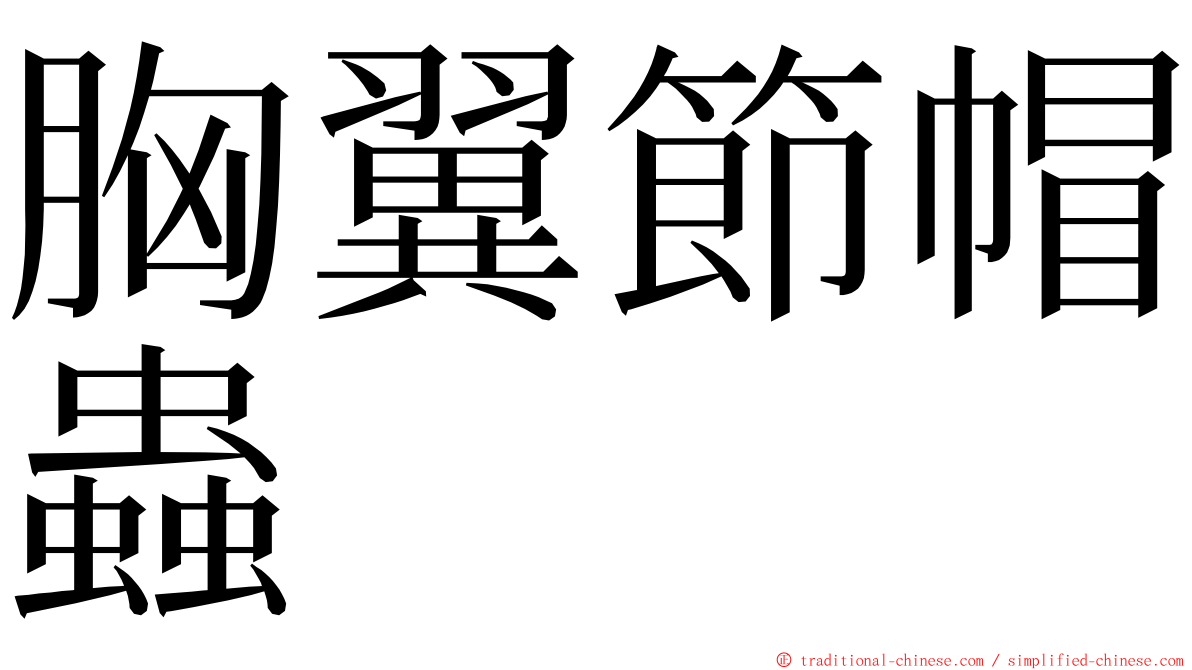 胸翼節帽蟲 ming font