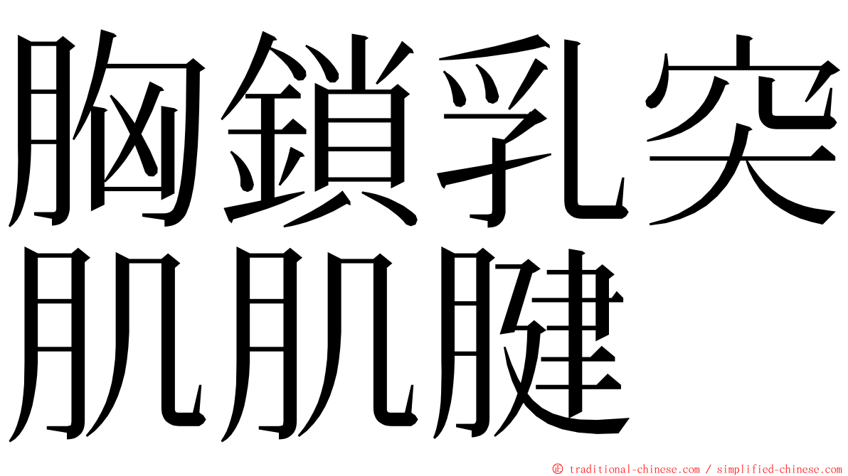 胸鎖乳突肌肌腱 ming font