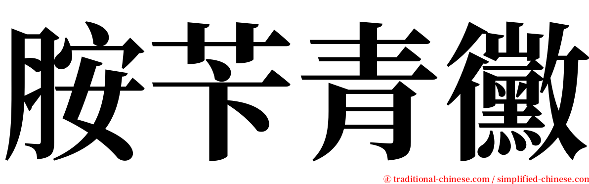 胺苄青黴 serif font