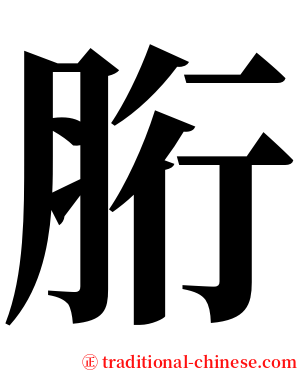 胻 serif font