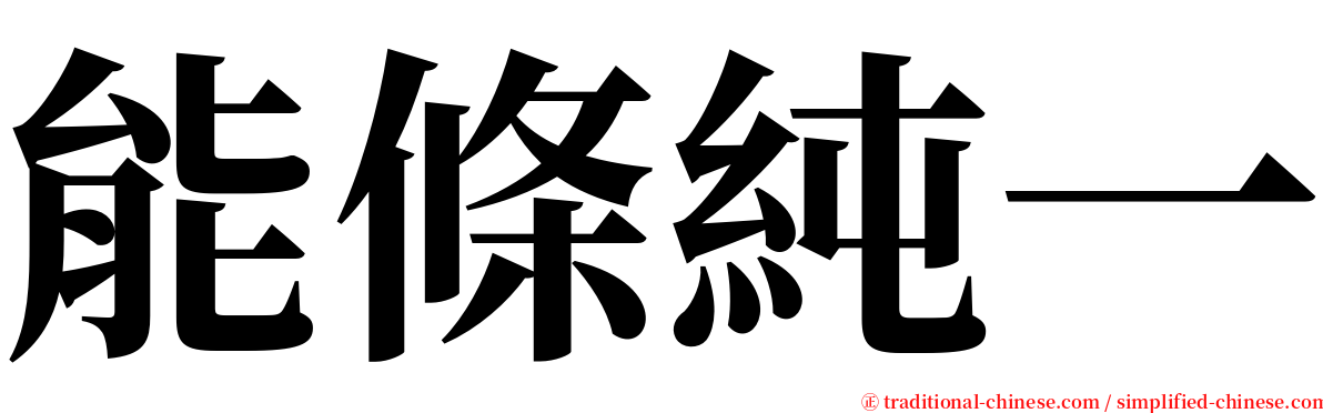 能條純一 serif font