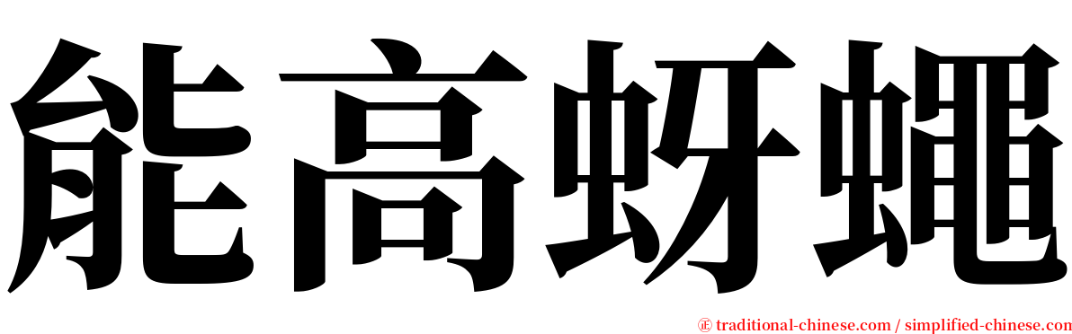 能高蚜蠅 serif font