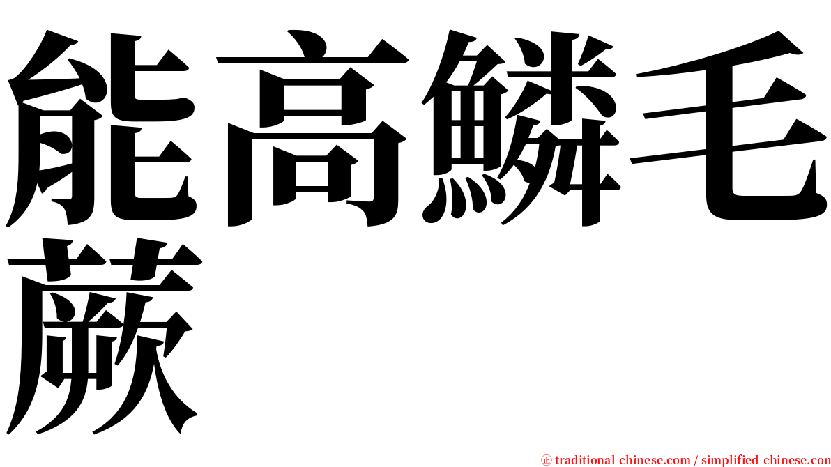 能高鱗毛蕨 serif font