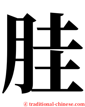 胿 serif font