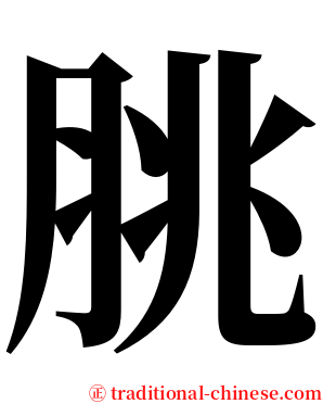 脁 serif font