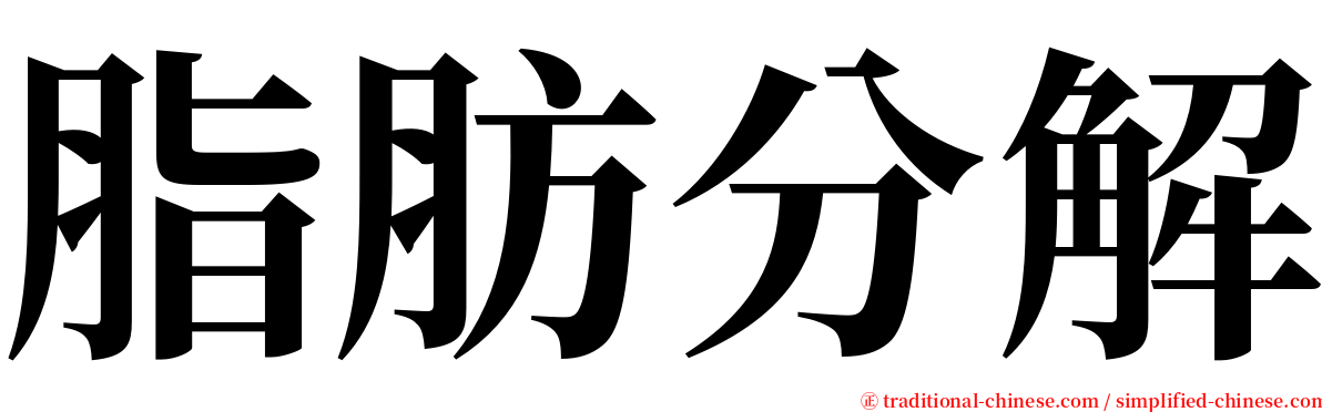 脂肪分解 serif font