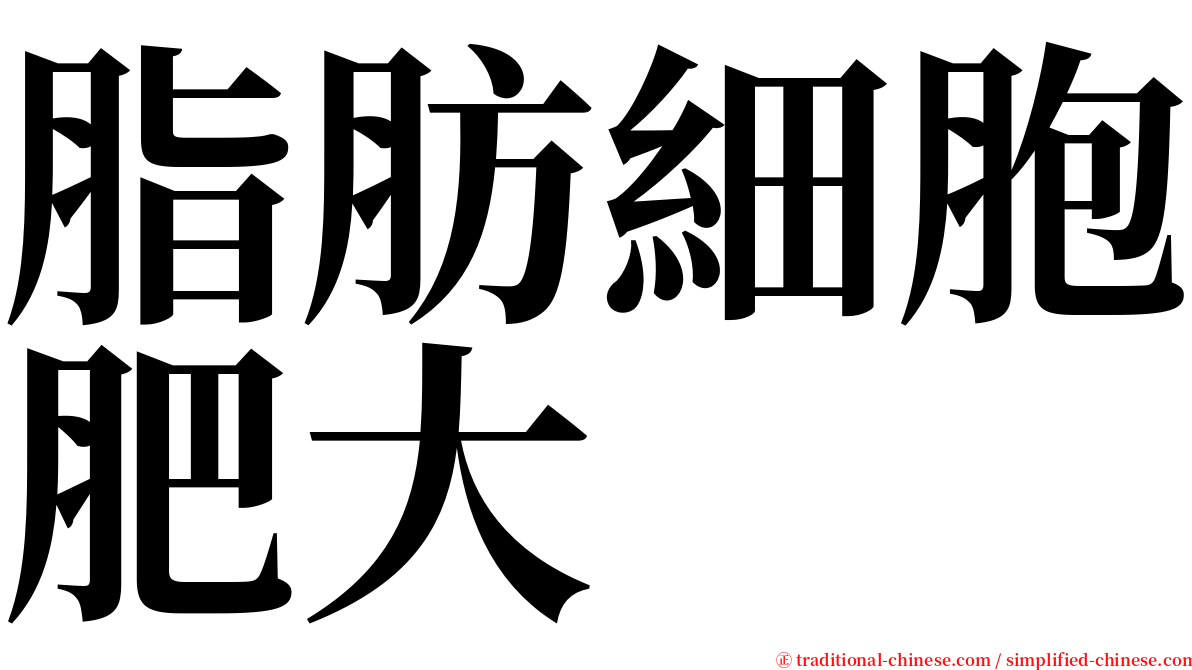 脂肪細胞肥大 serif font