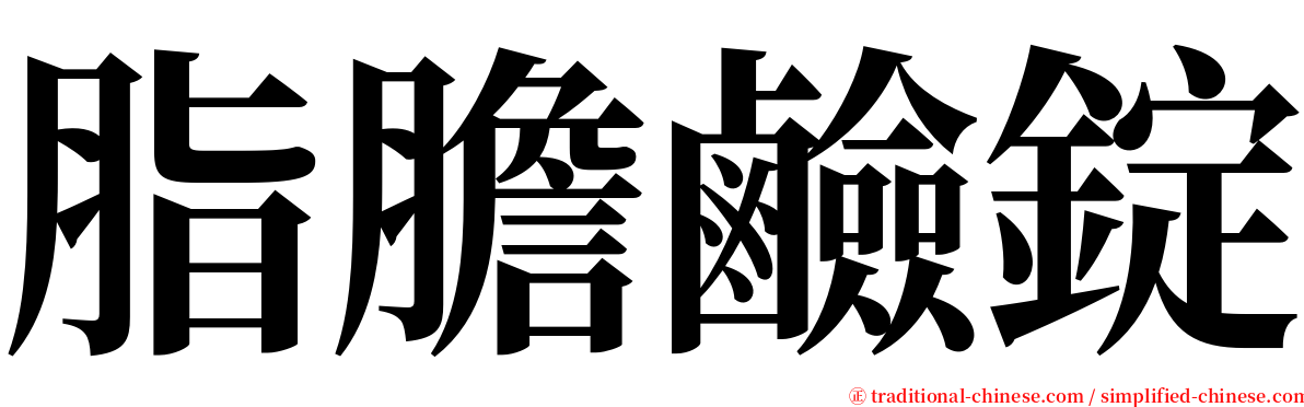 脂膽鹼錠 serif font