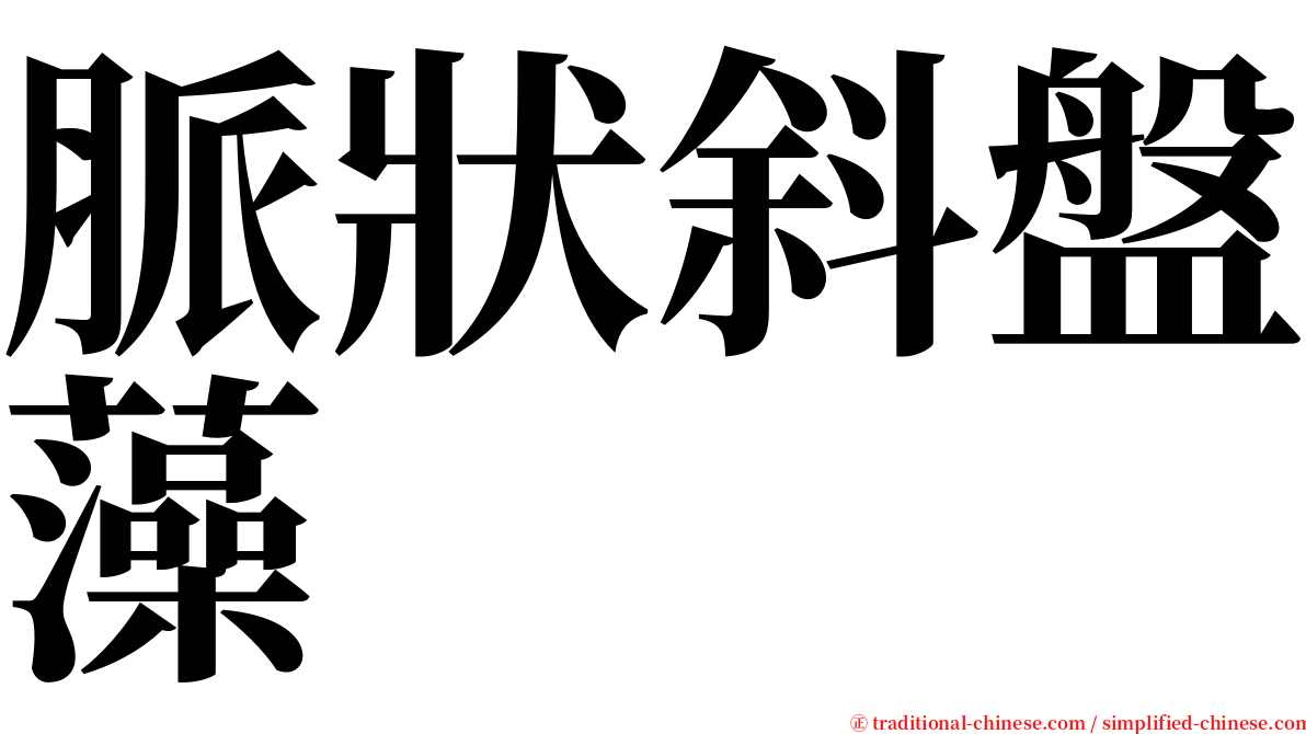 脈狀斜盤藻 serif font