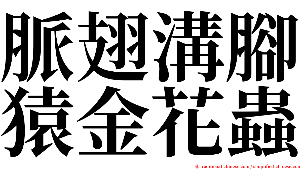 脈翅溝腳猿金花蟲 serif font