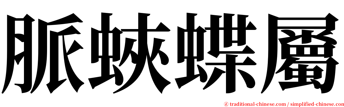 脈蛺蝶屬 serif font