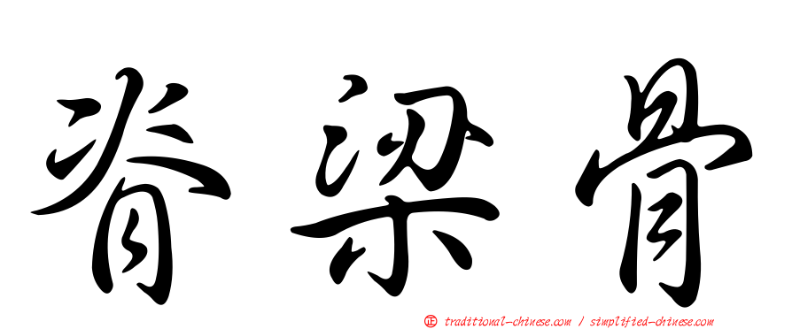 脊梁骨