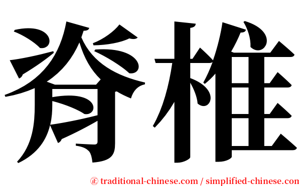 脊椎 serif font