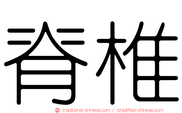 脊椎