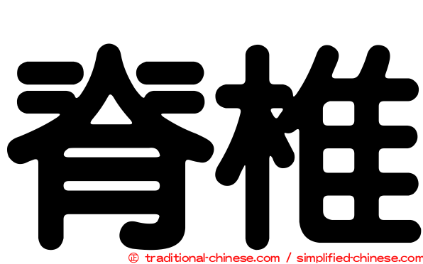 脊椎