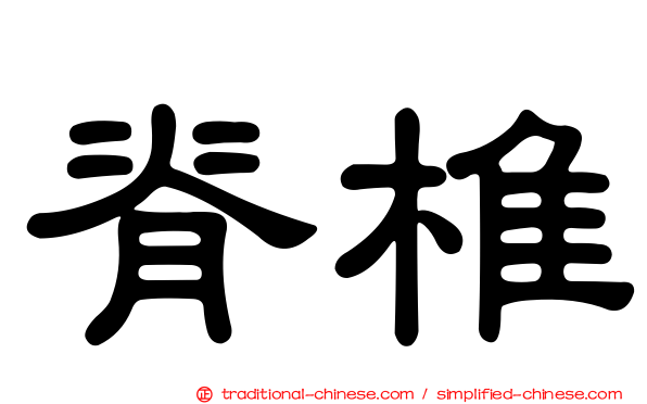 脊椎