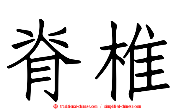 脊椎