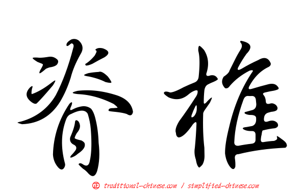 脊椎