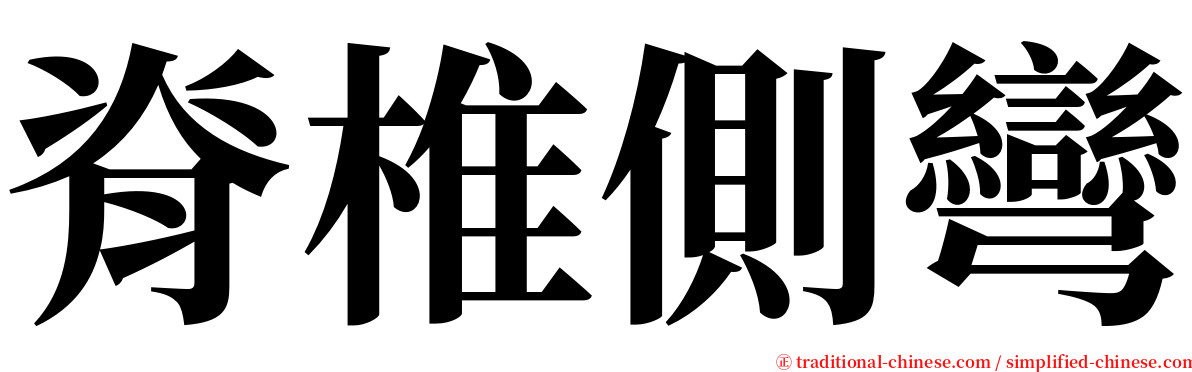 脊椎側彎 serif font