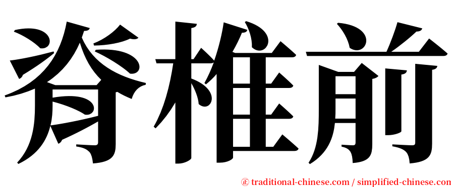 脊椎前 serif font