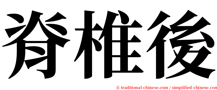 脊椎後 serif font