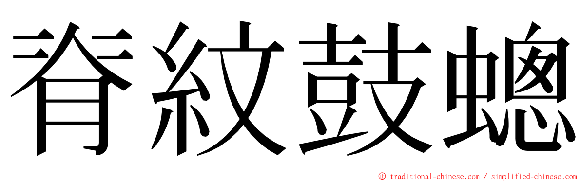 脊紋鼓蟌 ming font