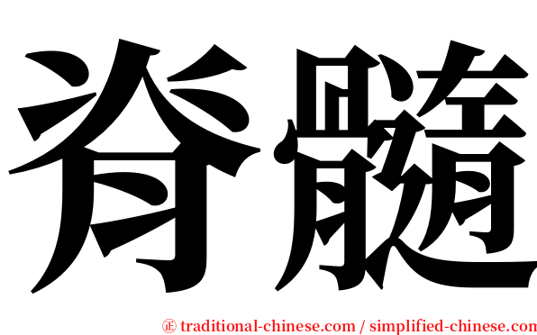 脊髓 serif font