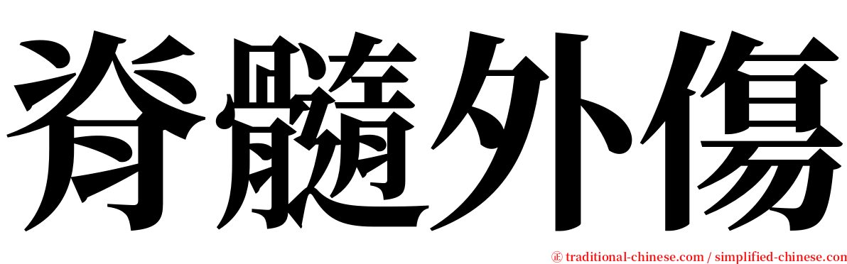 脊髓外傷 serif font