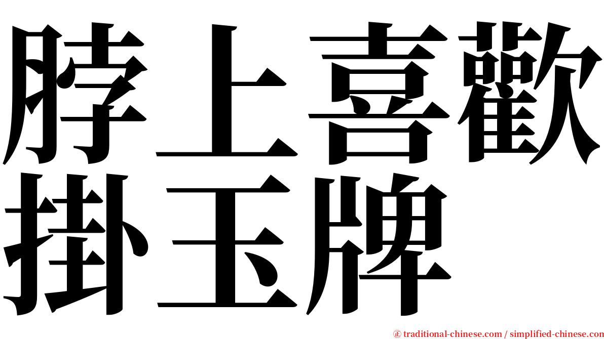 脖上喜歡掛玉牌 serif font