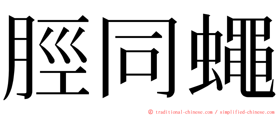 脛同蠅 ming font