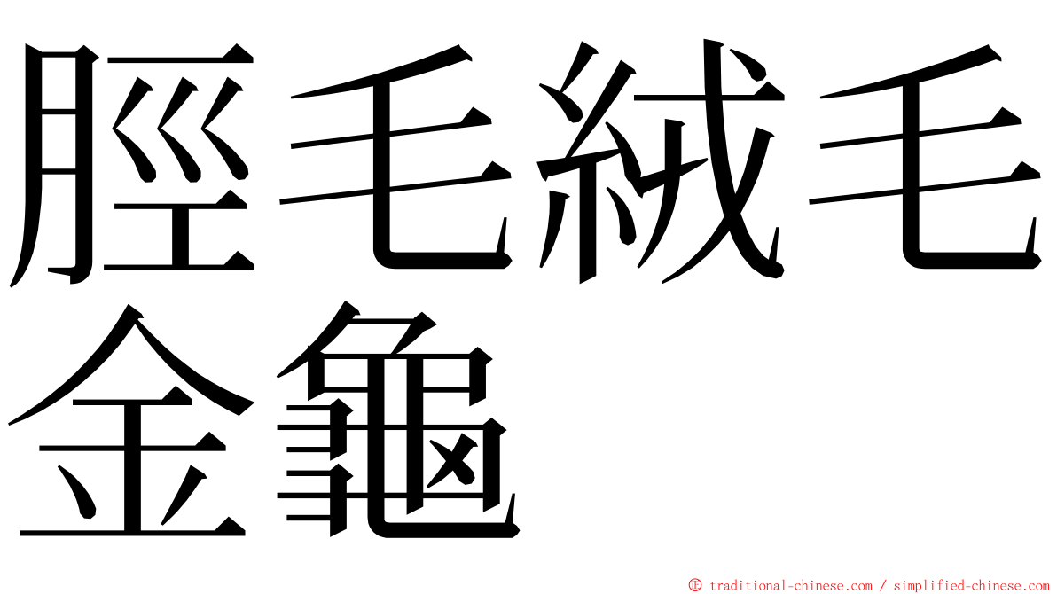 脛毛絨毛金龜 ming font