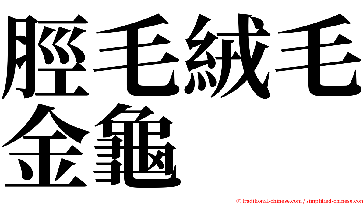 脛毛絨毛金龜 serif font