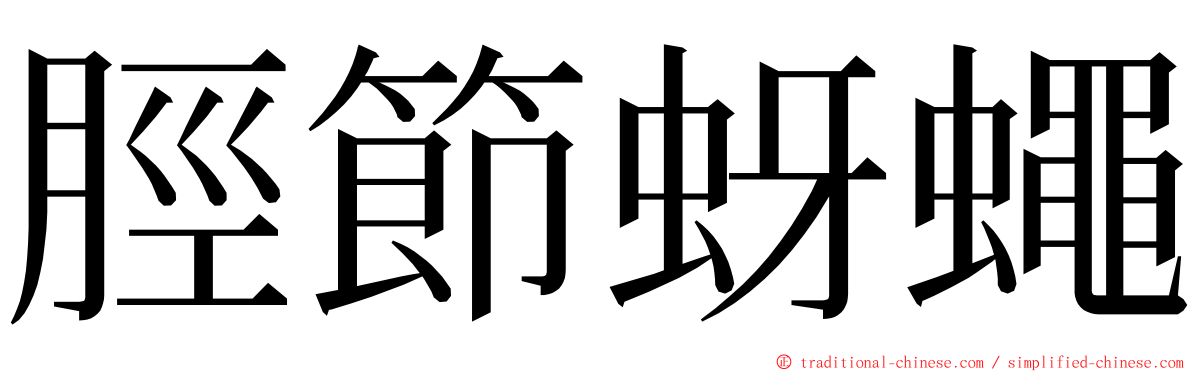 脛節蚜蠅 ming font