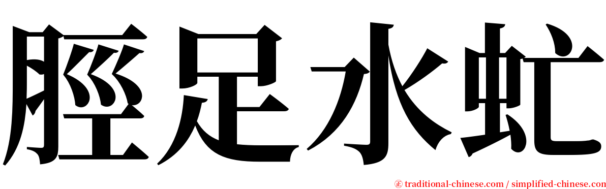 脛足水虻 serif font