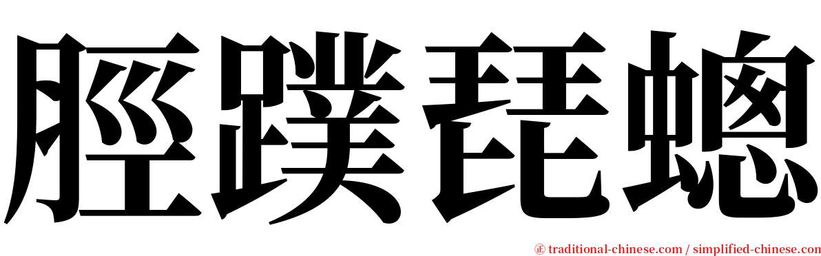 脛蹼琵蟌 serif font