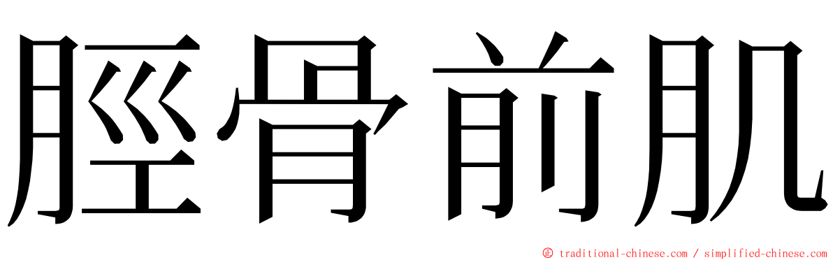 脛骨前肌 ming font