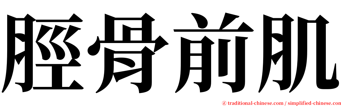 脛骨前肌 serif font