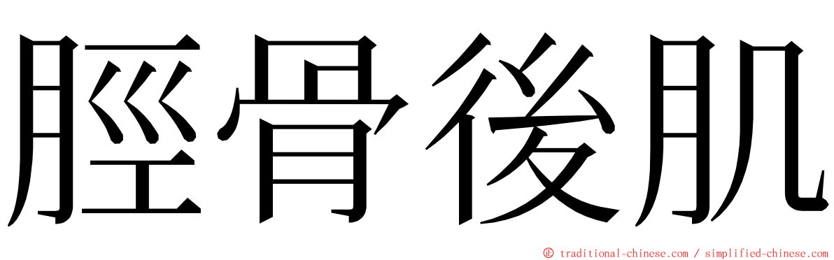 脛骨後肌 ming font