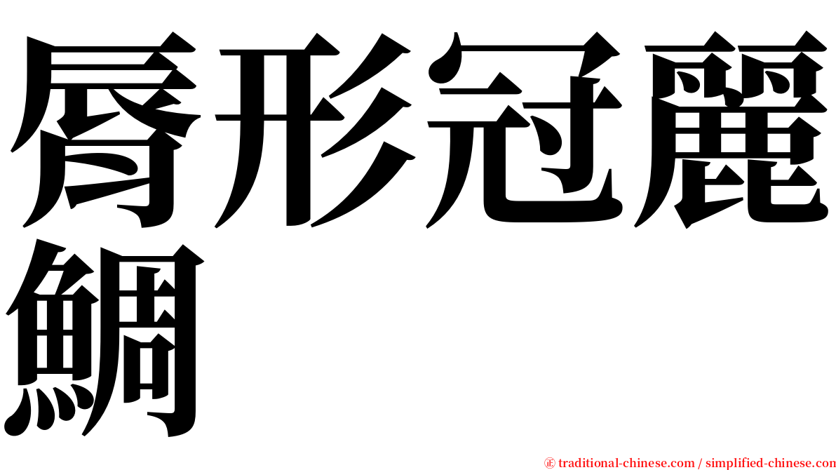 脣形冠麗鯛 serif font