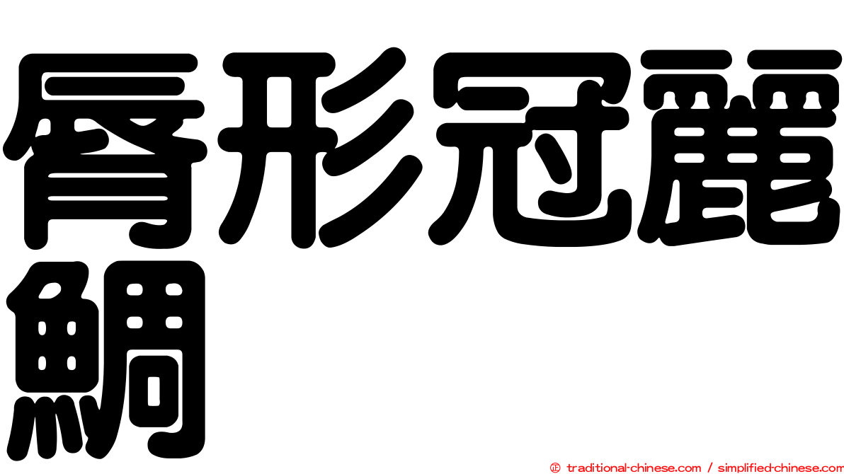 脣形冠麗鯛