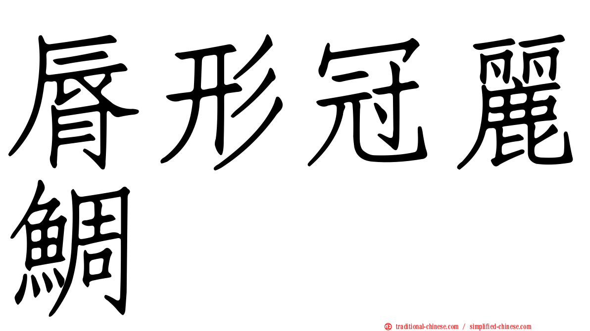 脣形冠麗鯛